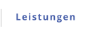 Leistungen